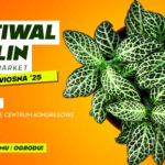 Zapraszamy 8 i 9 marca do MCK na wiosenną edycję Festiwalu Roślin w Katowicach!