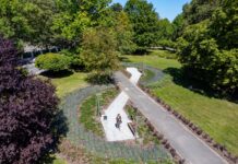 Katowiczanie zgłosili 231 pomysłów do Zielonego Budżetu