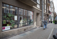 „Lokal na kulturę” po raz 20. w Katowicach. Ruszył nabór projektów