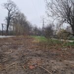 Mieszkańców oburzyło niszczenie zieleni w rejonie bulwarów Rawy. Po naszych pytaniach urzędnicy będą oceniać rozmiar zniszczeń