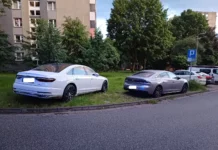 Straż Miejska wystawiła ponad 500 mandatów w tydzień. Trwa akcja „Wyzwanie – parkowanie”