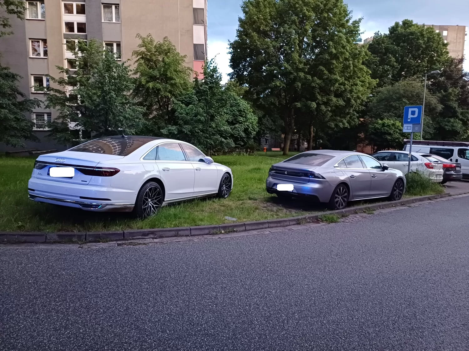 Straż Miejska wystawiła ponad 500 mandatów w tydzień. Trwa akcja „Wyzwanie – parkowanie”