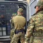 Śląskie: 17 cudzoziemców zatrzymanych za nielegalny pobyt