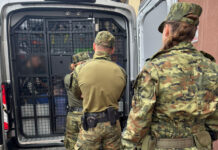 Śląskie: 17 cudzoziemców zatrzymanych za nielegalny pobyt