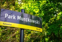 Katowice będą rozmawiać z mieszkańcami na temat zmian w Parku Murckowskim. Ruszają konsultacje społeczne