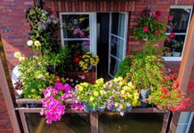 Twój balkon może wygrać 2,5 tysiąca złotych! Katowice znów nagradzają najpiękniejsze aranżacje balkon pełen kwiatów