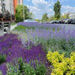 Ostatnie dni na składanie projektów w ramach Zielonego Budżetu