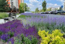 Ostatnie dni na składanie projektów w ramach Zielonego Budżetu