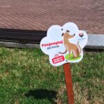 Coraz więcej właścicieli psów sprząta po swoich pupilach. Jak przekonać resztę?