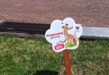 Coraz więcej właścicieli psów sprząta po swoich pupilach. Jak przekonać resztę?