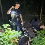 Pirania wytropiła pijanego kierowcę, który uciekł po kolizji