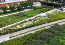 Zieleń wokół Silesia City Center pod dobrą opieką