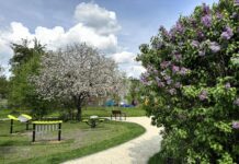 Katowiczanie wybiorą projekty Budżetu Obywatelskiego 2026