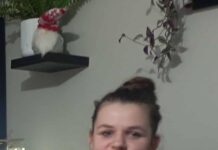 Dramat rodziny z Dąbrowy Górniczej. Zaginęła 16-latka – trwa wyścig z czasem