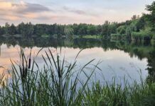 Filmowe hity – finał Letniego Festiwalu Filmowego Katowice 2025 staw na Dolina Trzech Stawów