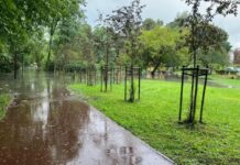 Kolejna ulewa i znów chaos. Śląskie podtopienia ujawniają skalę zaniedbań