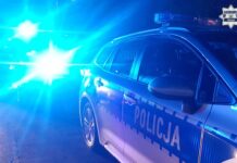 Groźne potrącenie pieszej o świcie. 24-latka trafiła do szpitala