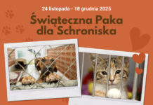 Bona Fides ruszyło ze świąteczną zbiórką dla Schroniska!