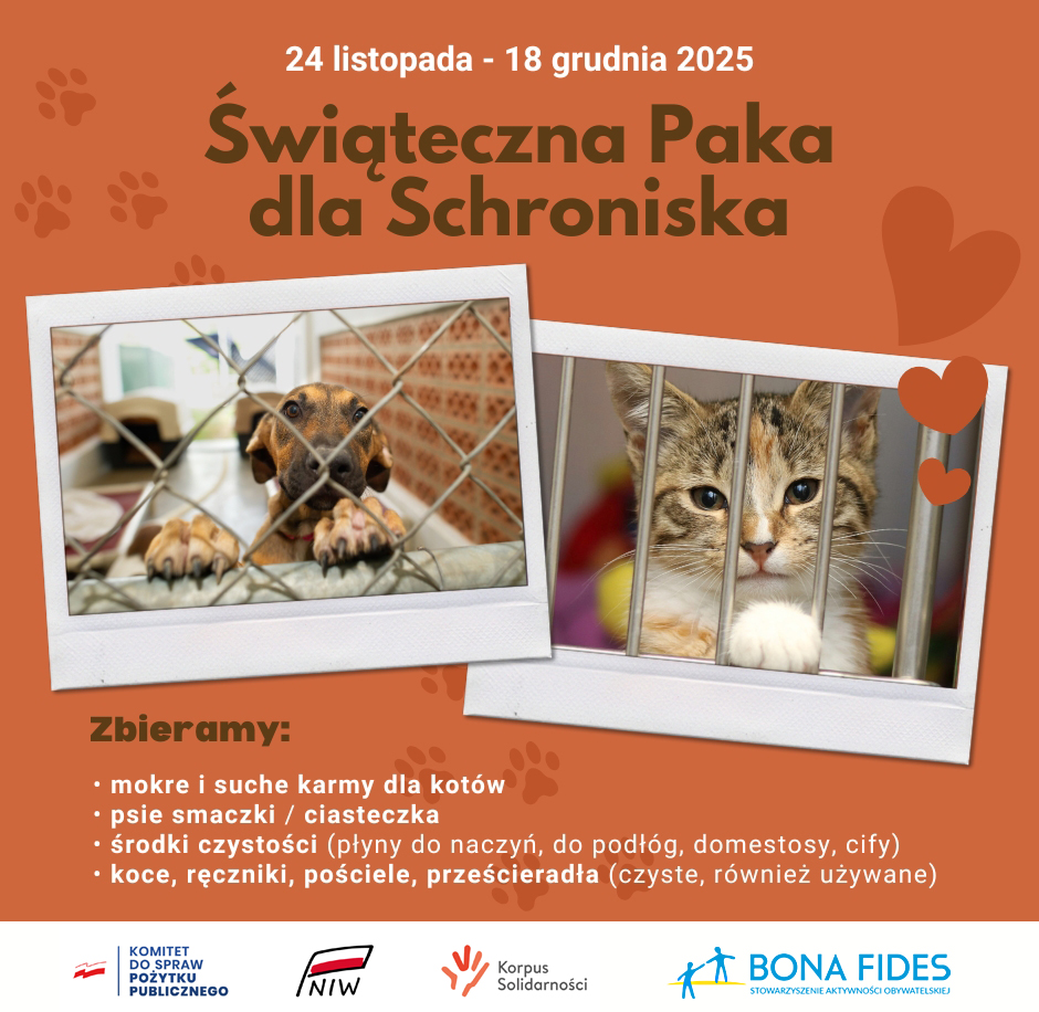 Bona Fides ruszyło ze świąteczną zbiórką dla Schroniska!