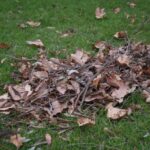 Apel do Wojewody Śląskiego o ograniczenie dmuchaw spalinowych Kupka liści