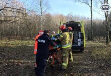 Dramatyczna akcja ratunkowa. 85-latek utknął w lesie na blisko 20 godzin