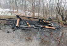 Kto podpala altany? Dwa pożary w miesiąc na Koszutce Spalona altana